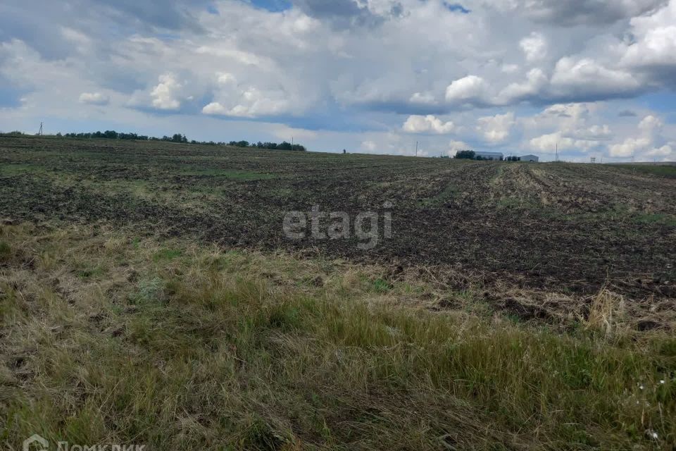 земля р-н Губкинский село Истобное фото 4