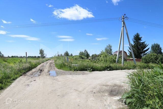 городской округ Тюмень, СО Поле чудес фото