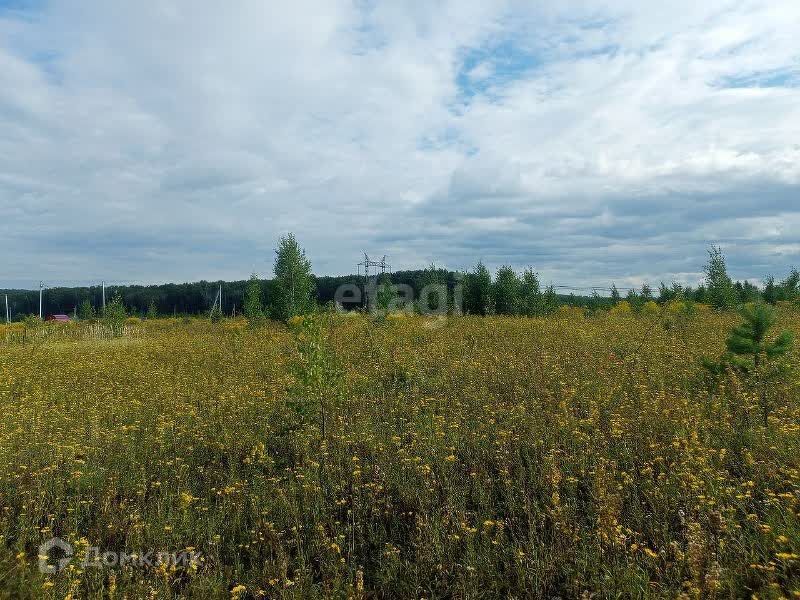 земля р-н Богородский сельский посёлок Мирный, Склад фото 1