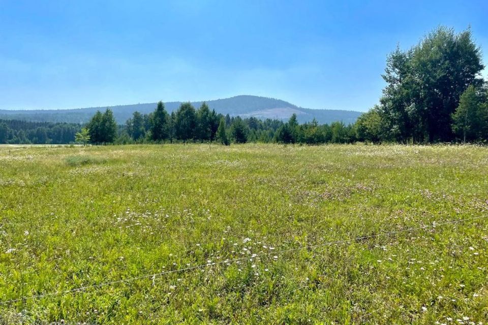 земля р-н Шелеховский село Введенщина фото 1