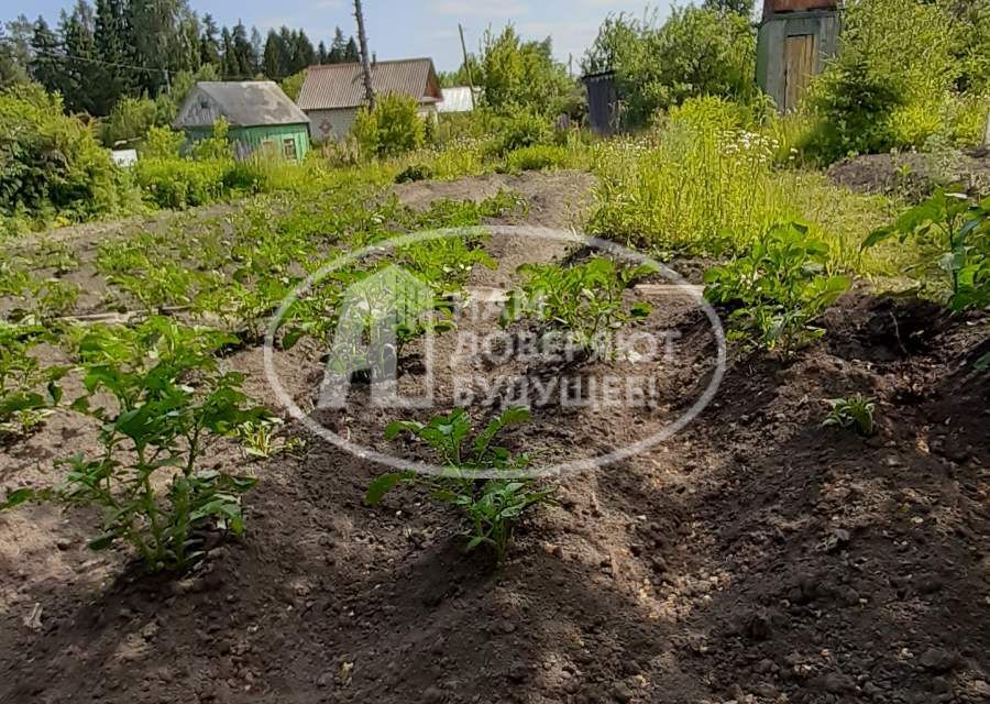 дом Добрянский городской округ, СТ Дружба фото 5