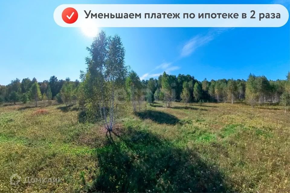 земля р-н Нижнетавдинский посёлок Торгили фото 2