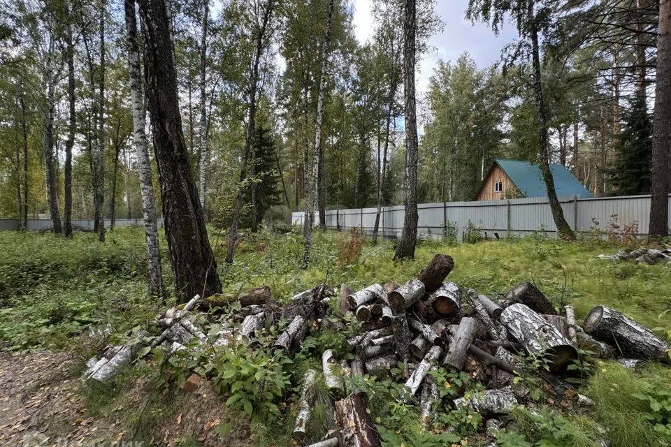 земля р-н Тюменский с Перевалово ул Лиственная фото 10