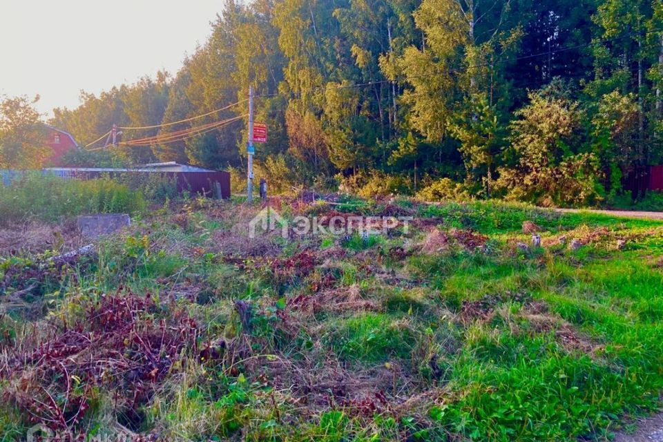 земля городской округ Павловский Посад садовое товарищество Оптимист фото 3