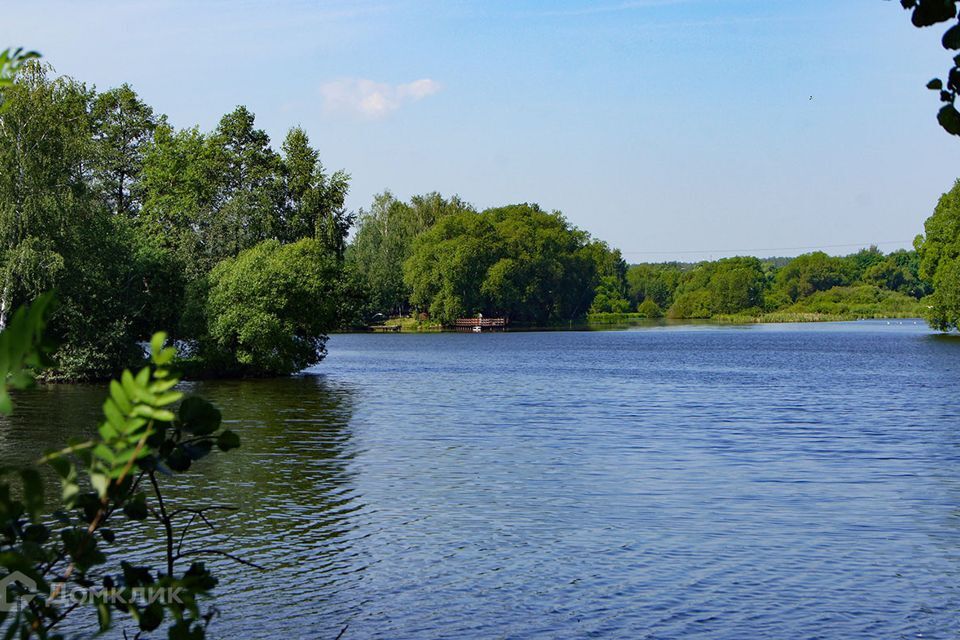 земля городской округ Раменский ДНТ Великие озёра фото 4