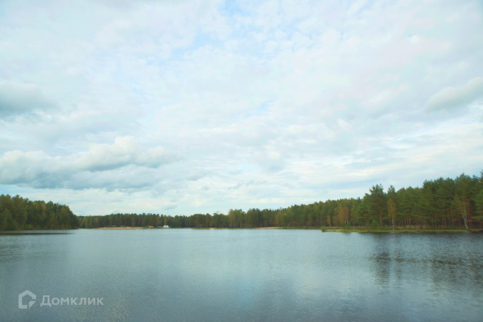 земля р-н Всеволожский Коркинский ручей фото 4