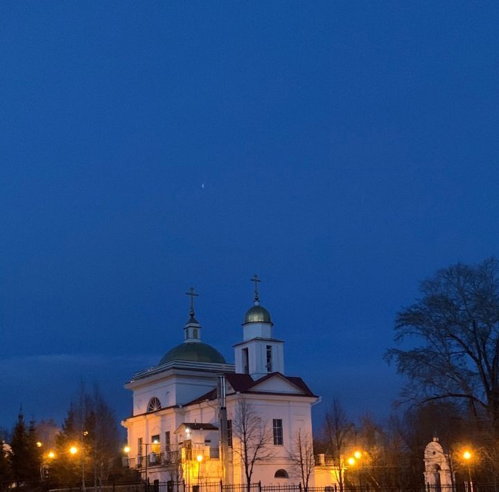 земля р-н Невьянский п Верх-Нейвинский ул Березовая фото 15