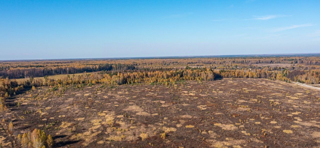 земля городской округ Ступино с Починки фото 6