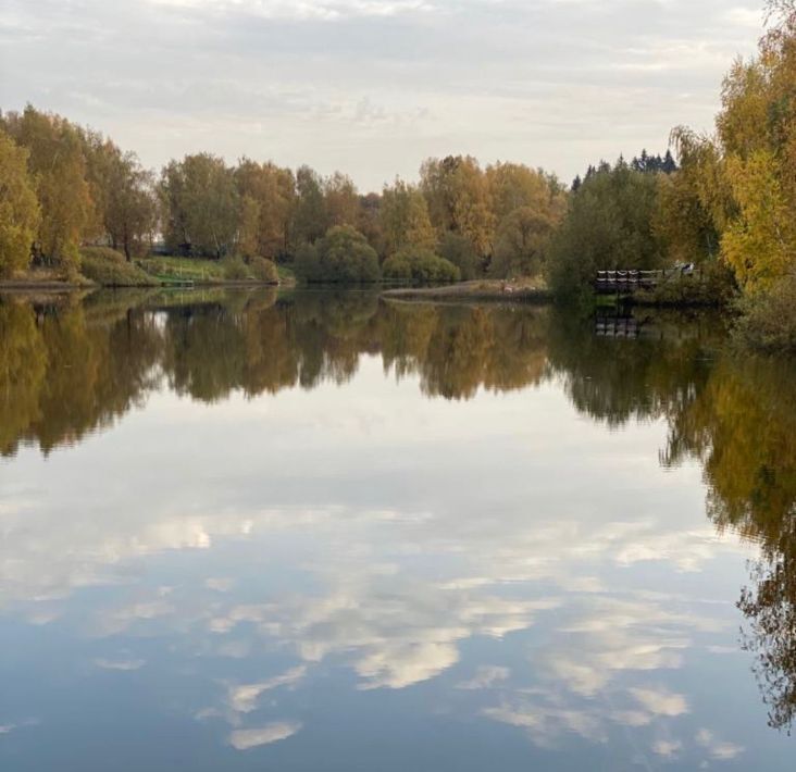 дом г Москва п Щаповское ТиНАО Александровы Пруды кп фото 6