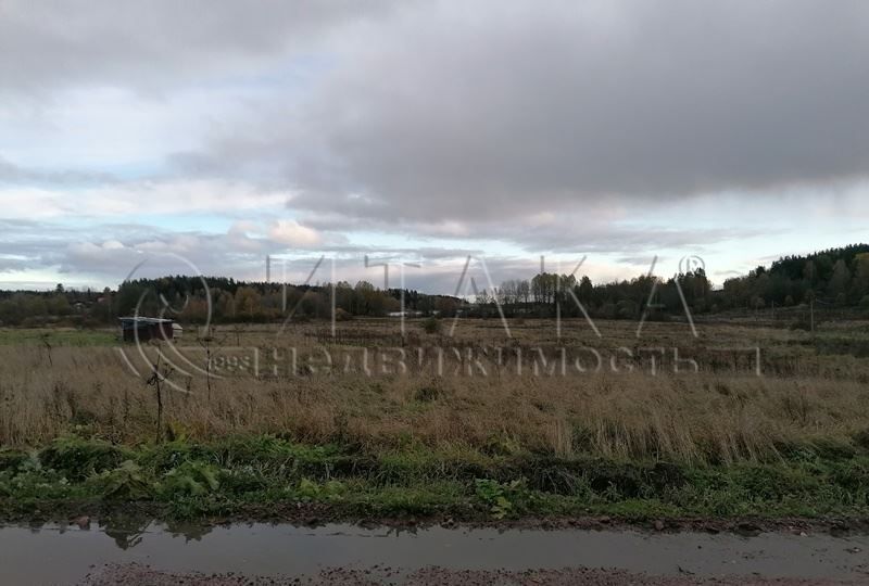 земля р-н Выборгский п Михалево Трасса Сортавала, 9835 км, Каменногорское городское поселение, Молодёжная ул., 26, Каменногорск фото 7