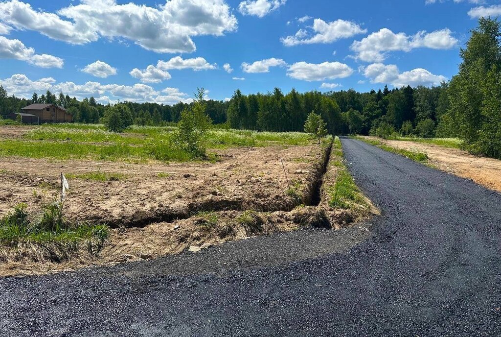 земля городской округ Истра д Сафонтьево днп терСафонтьевские дачи фото 15