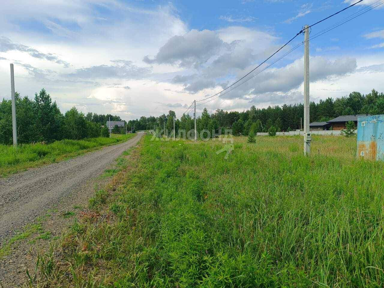 земля р-н Первомайский с Фирсово ул Грибная фото 7