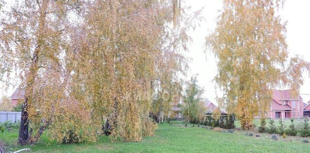 Морской сельсовет фото