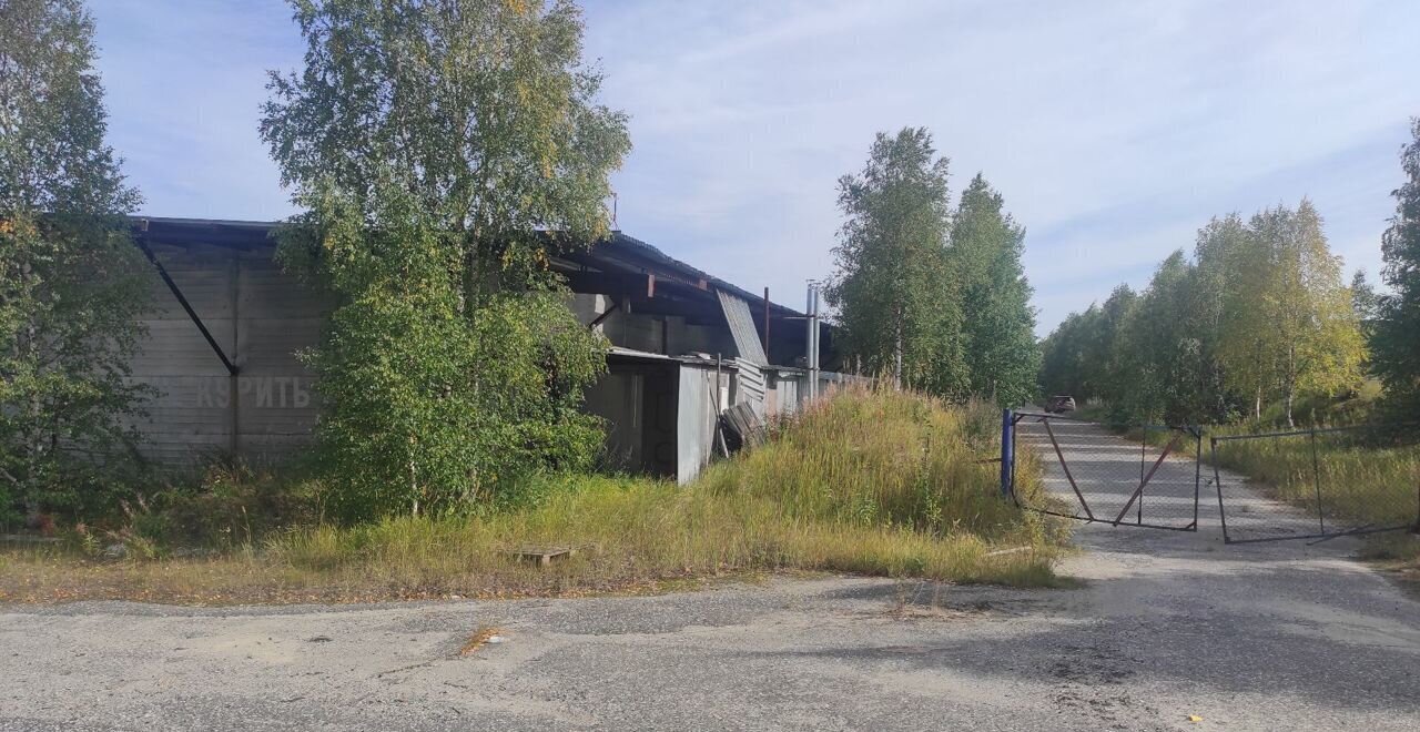 производственные, складские г Ноябрьск 15-я панель промузел Пелей к<текст-удален>ромузел Пелей, Тюменская обл. фото 8