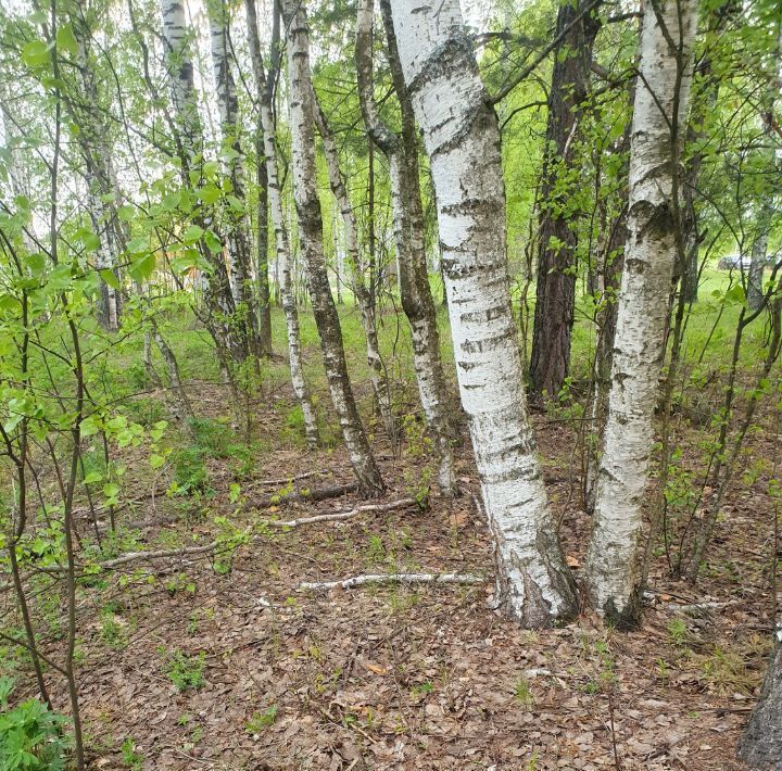 земля р-н Чкаловский с Чистое Борское с пос, Бор городской округ фото 4