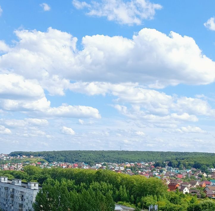 квартира г Пенза р-н Октябрьский ул Стасова 2а фото 19
