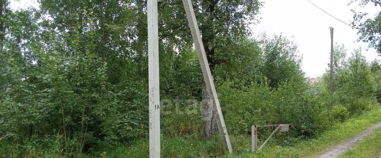 земля р-н Череповецкий д Минино Югское муниципальное образование, ул. Центральная, 22 фото 9