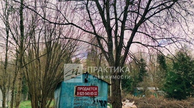 Черемшина садовое товарищество, проезд Походный фото