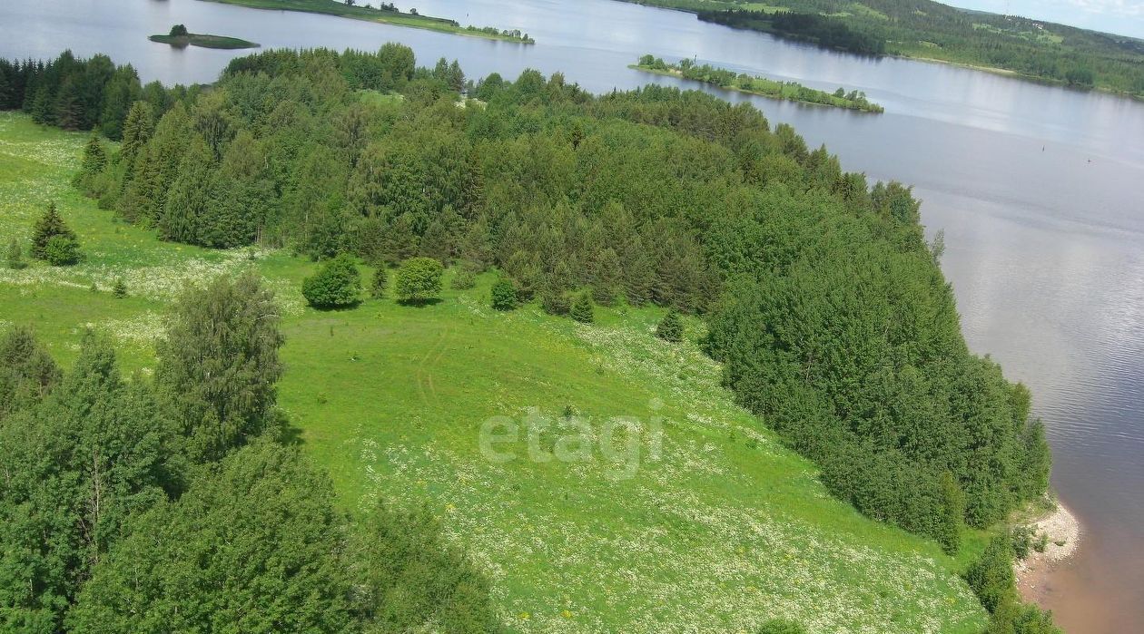 земля р-н Кирилловский д. Мыс Ферапонтовский сельсовет фото 17