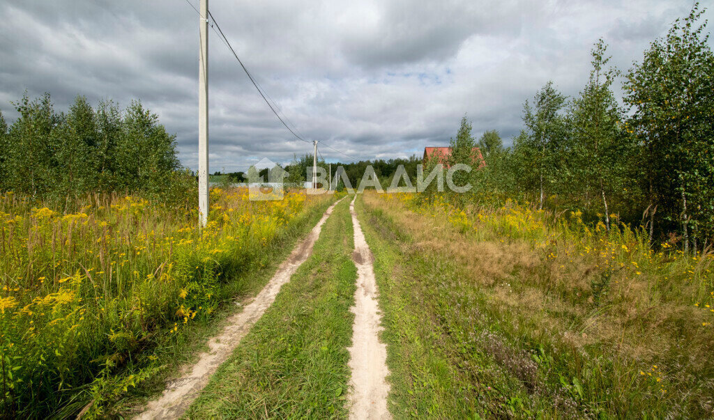 земля р-н Богородский с Спирино ул Широкая фото 14