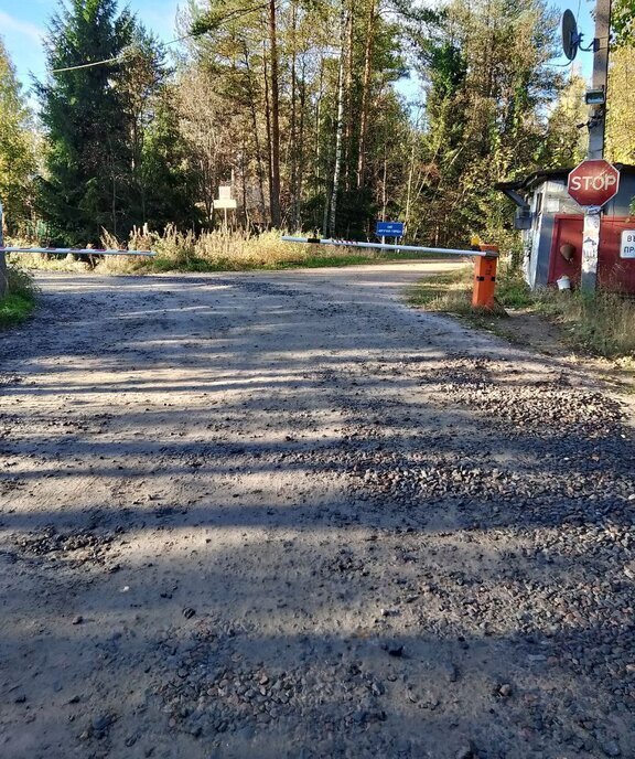 земля р-н Приозерский дп Массив Крутая Гора снт Электрон Раздольевское сельское поселение, 7-я аллея, садоводческий массив Крутая Гора фото 2