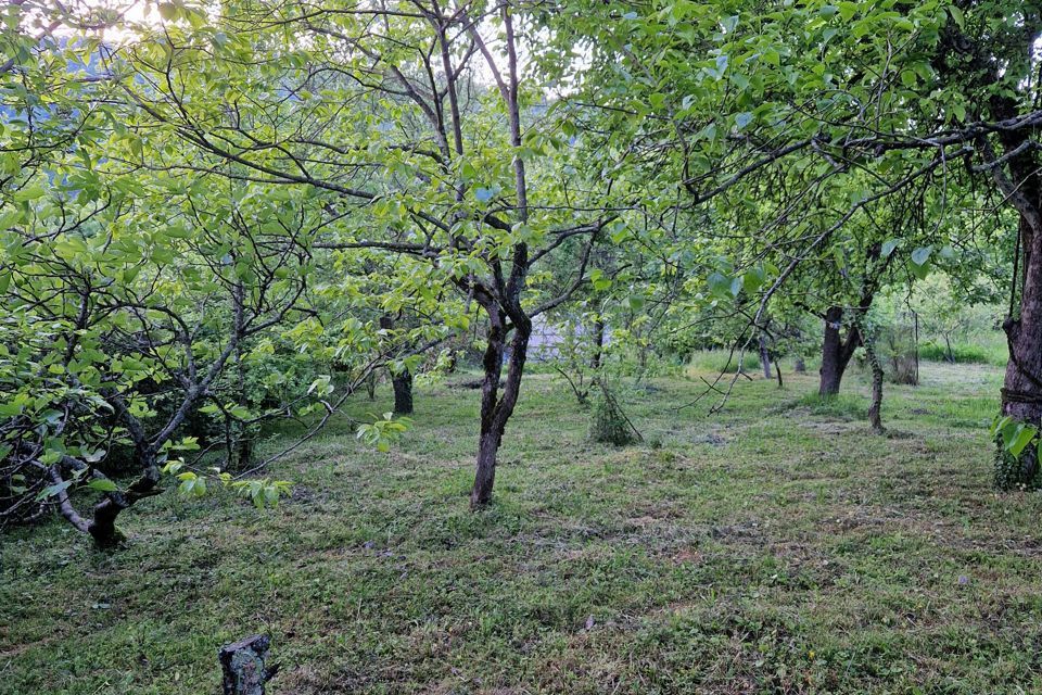 земля г Сочи с Липники городской округ Сочи, садоводческое товарищество Курортник-1 фото 1