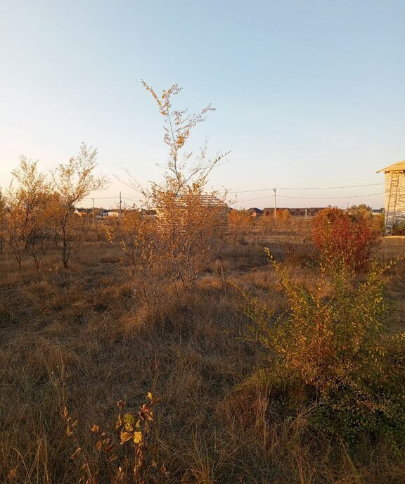 земля г Кинель ул Черноморская 8 фото 2