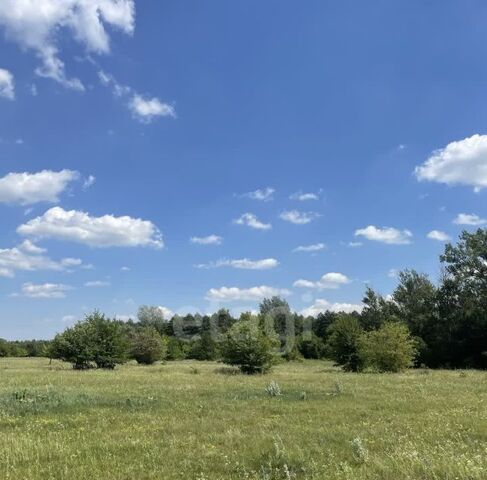 р-н Старооскольский х Чумаки ул Земляничная Старооскольский городской округ фото