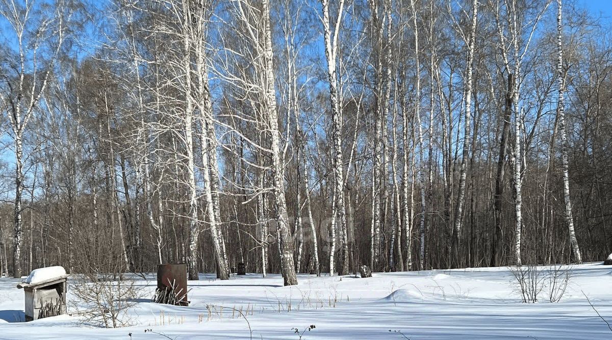 земля р-н Искитимский Морозовский сельсовет, Успех СПК фото 7