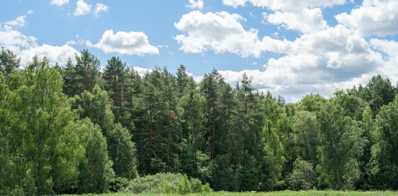 земля г Домодедово д Ивановка фото 3