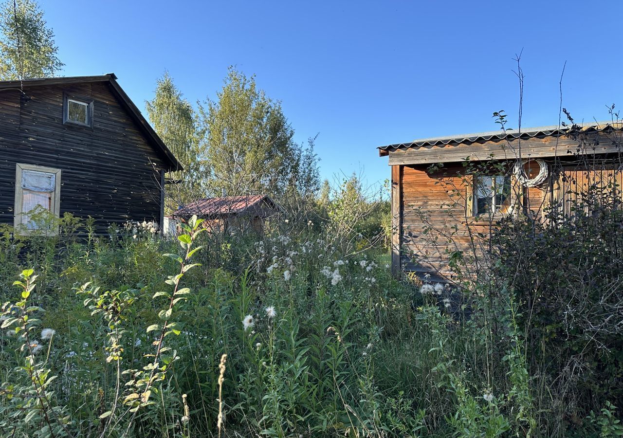 земля городской округ Орехово-Зуевский д Минино снт Янтарь 9776 км, 4, Электроизолятор, Егорьевское шоссе фото 15