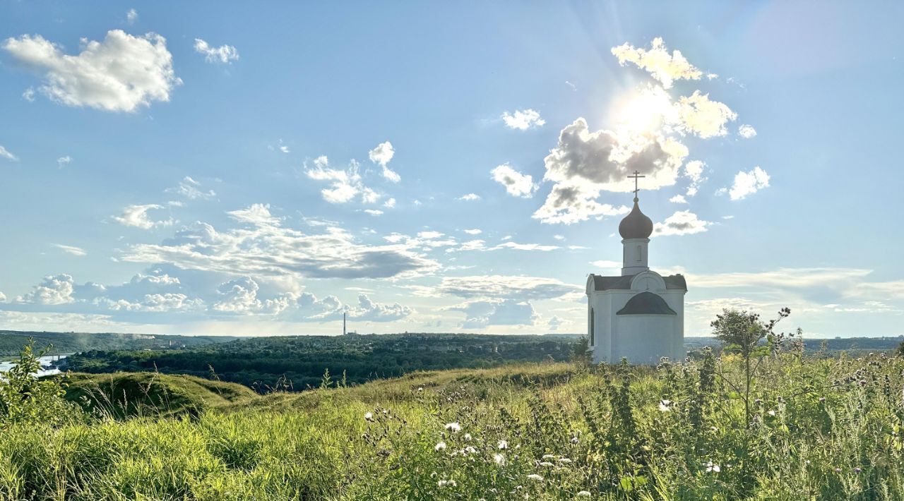 квартира р-н Алексинский г Алексин ул Пионерская 16 фото 20