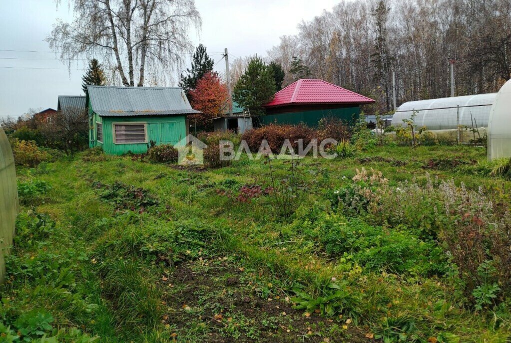 земля г Новосибирск р-н Заельцовский Заельцовская садоводческое товарищество Любитель, 128 фото 1