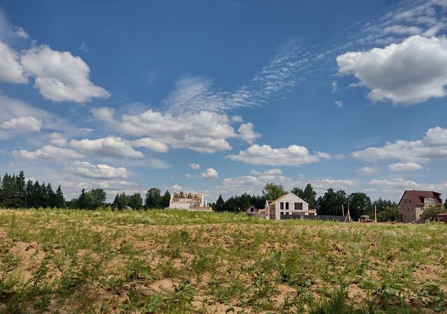 Лесной Городок фото