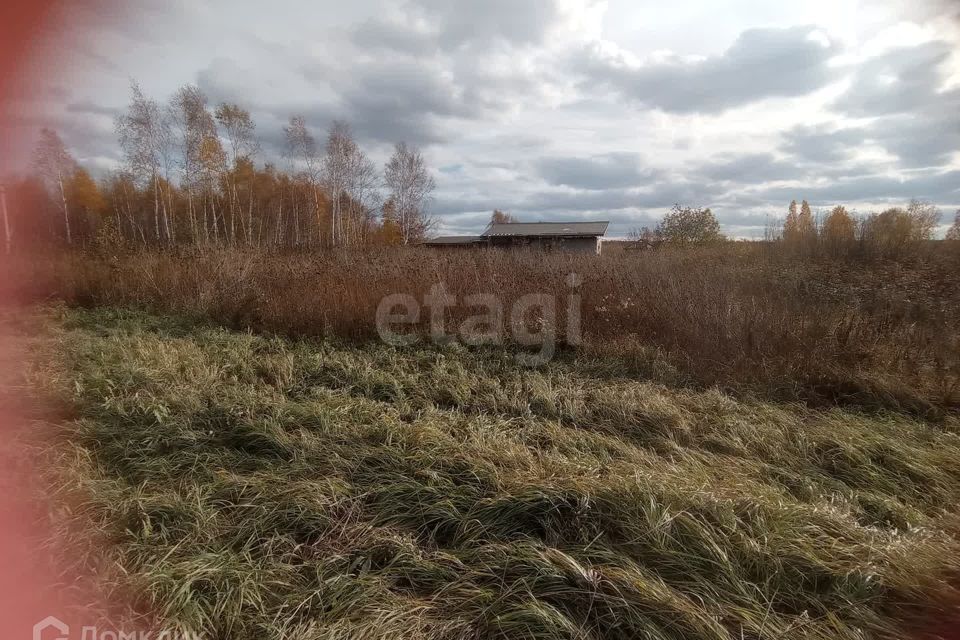 земля г Тюмень снт Светлое городской округ Тюмень, 1-я Степная улица фото 4