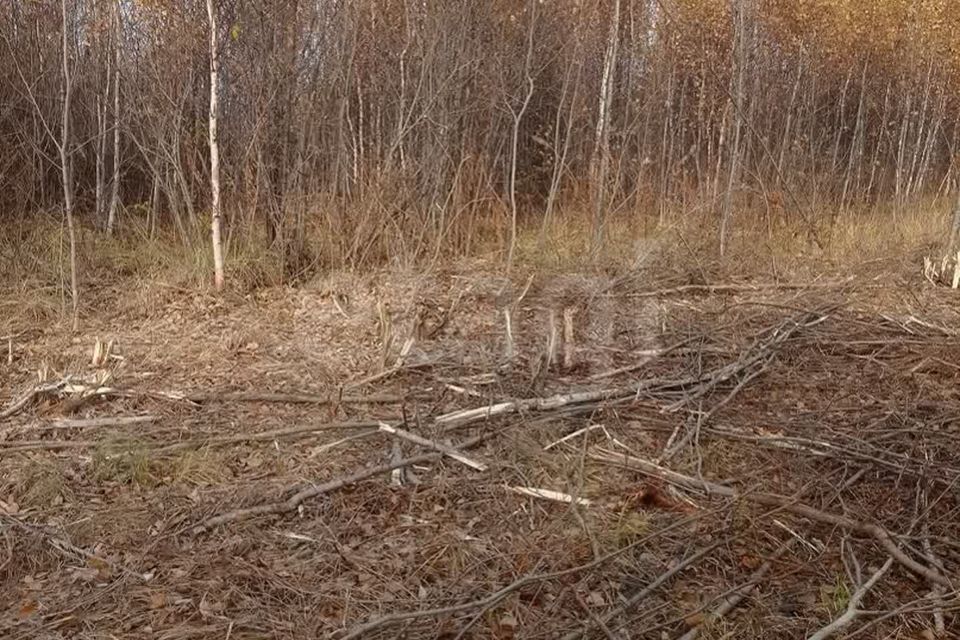 земля г Тюмень снт Светлое городской округ Тюмень, 1-я Степная улица фото 7