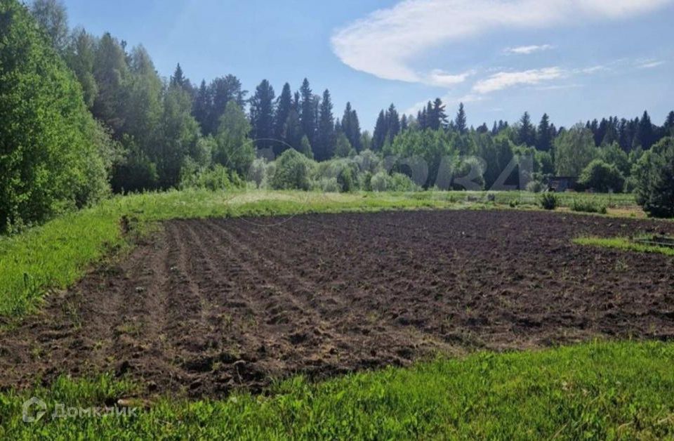 дом р-н Тобольский деревня Чукманка фото 3