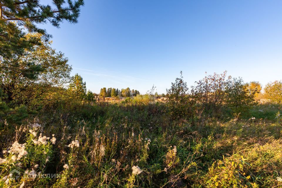 земля р-н Сысертский село Новоипатово фото 5