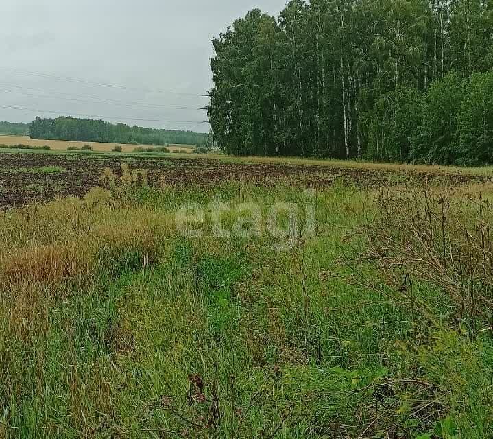 земля р-н Сосновский фото 5