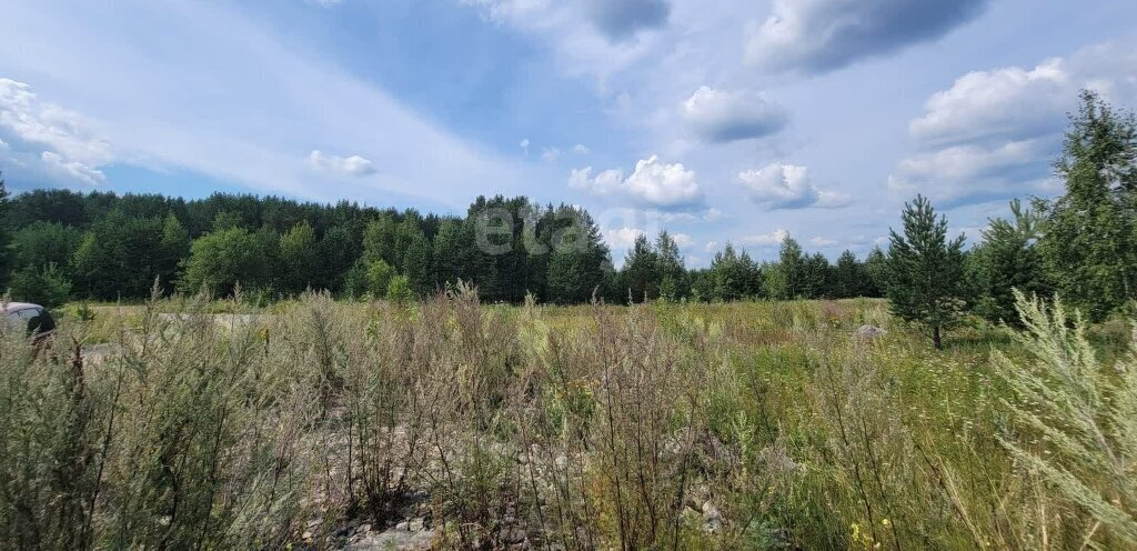 земля р-н Пригородный с Николо-Павловское фото 11