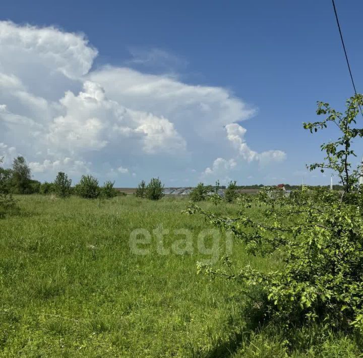 земля р-н Новомосковский г Новомосковск фото 3