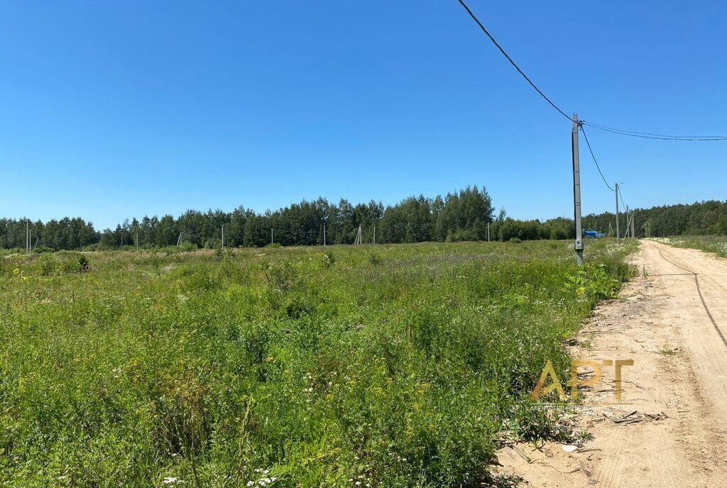 земля городской округ Раменский д Тяжино ул Смородиновая фото 4