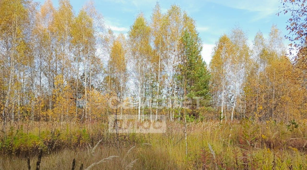 земля р-н Зеленодольский г Зеленодольск снт Трудовик фото 9