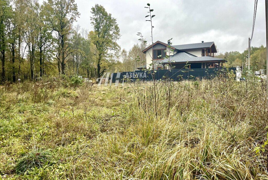 земля городской округ Одинцовский д Кезьмино Нахабино фото 3