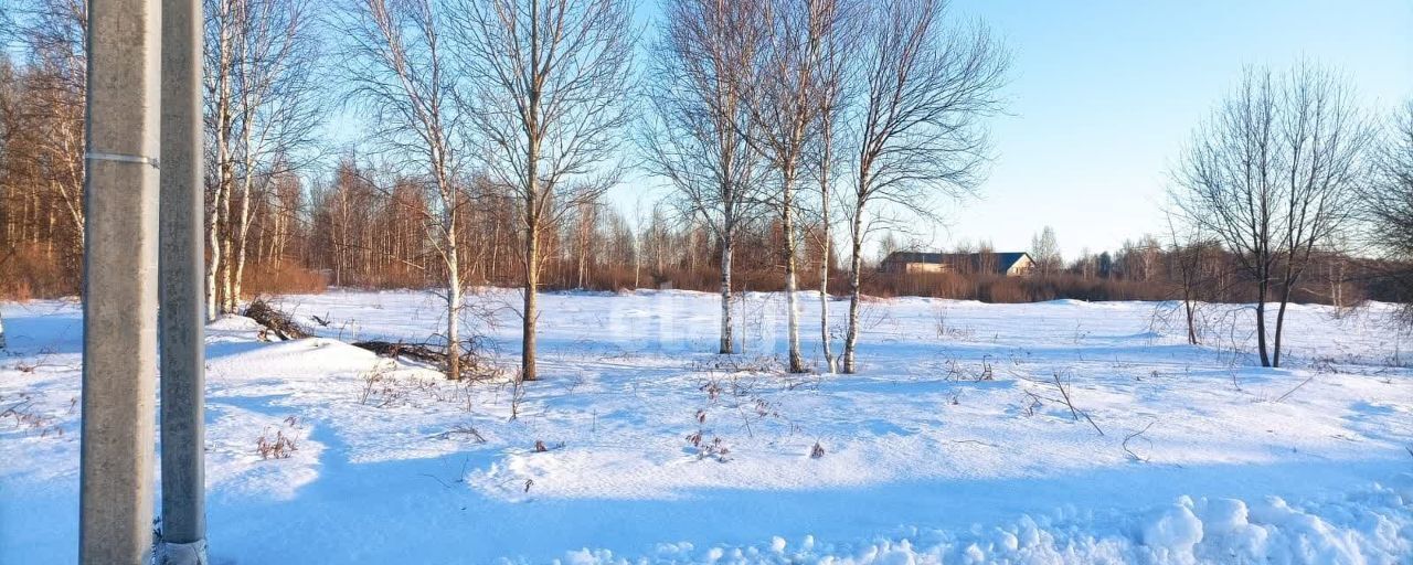 земля р-н Ярковский с Ярково Ярковское сельское поселение фото 15