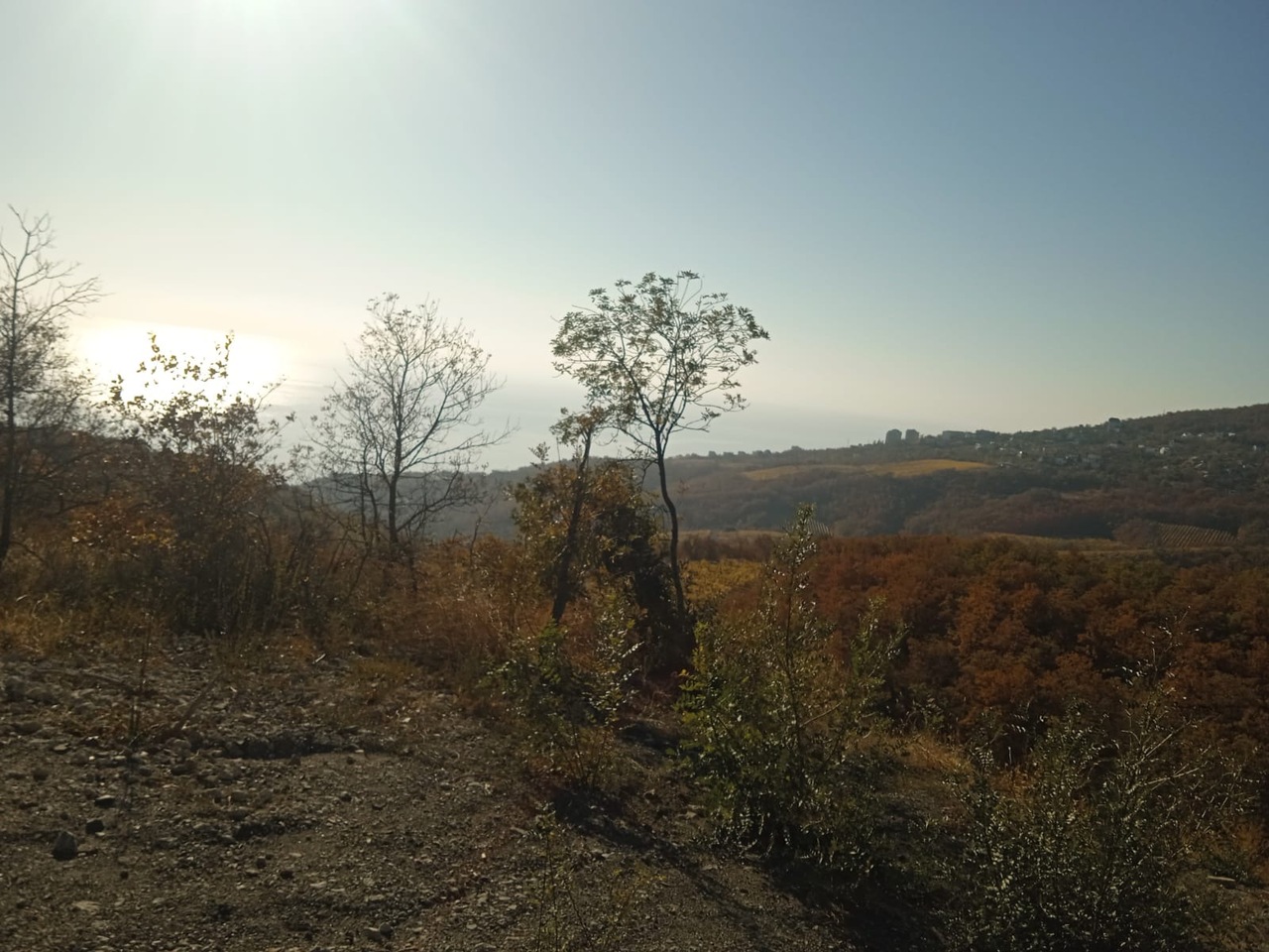 земля г Алушта с Малый Маяк Алушта фото 7