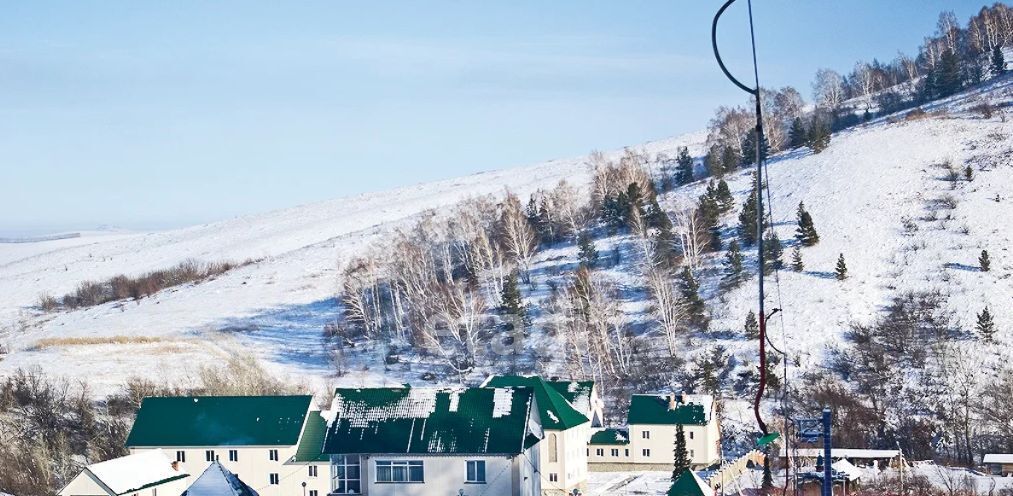 земля р-н Алтайский п Даниловка ул Алтайская фото 21