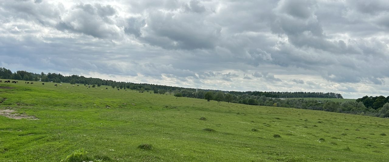 земля р-н Ленинский д Помогалово Тула фото 3