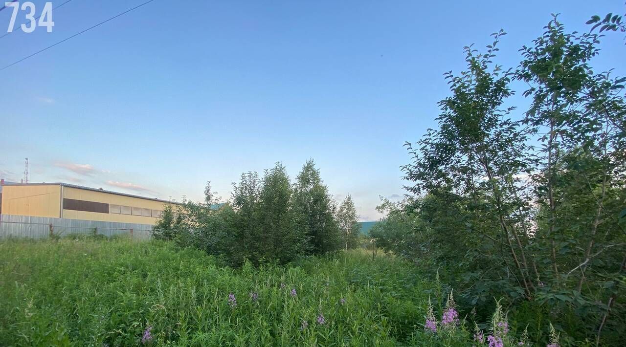 земля г Полевской ул Блюхера 77 фото 3