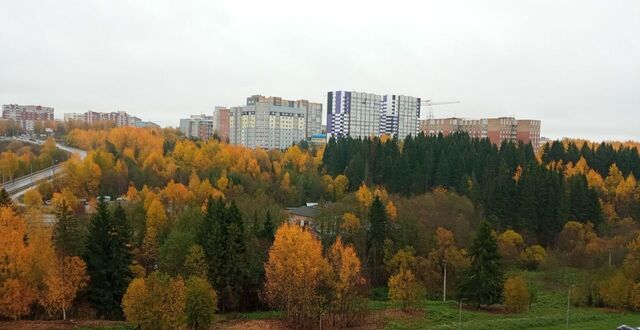 Орбита ул Петрозаводская 43 фото